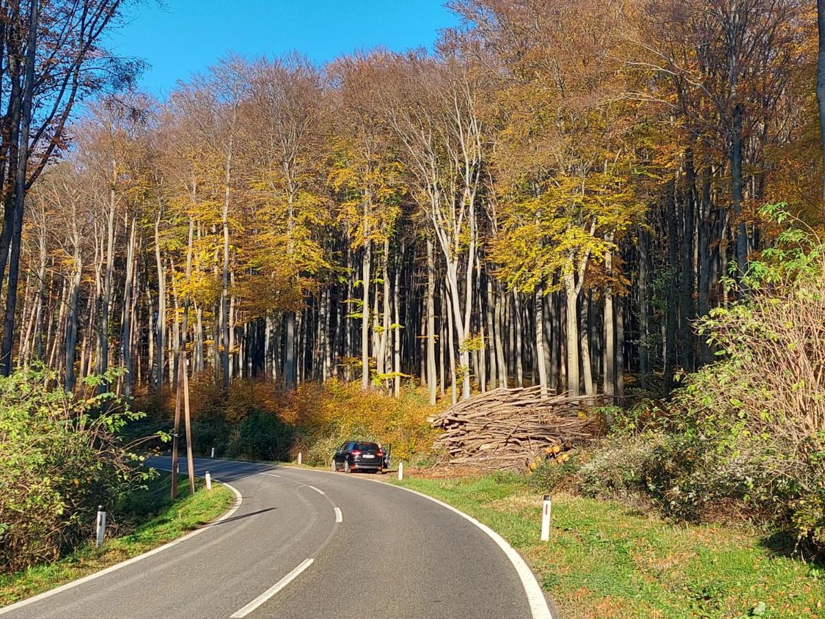 Pension Welserhof Wilfersdorf  Dış mekan fotoğraf