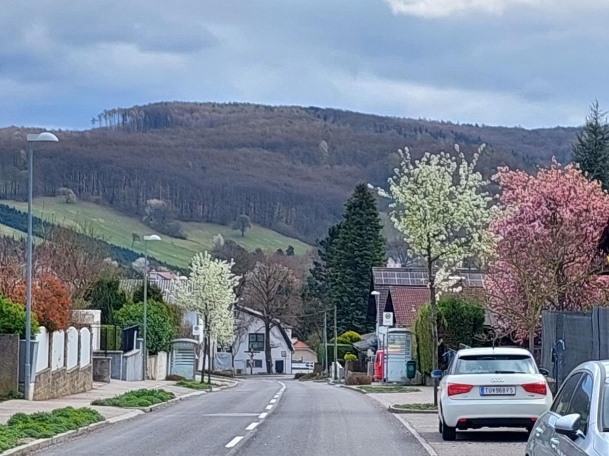 Pension Welserhof Wilfersdorf  Dış mekan fotoğraf