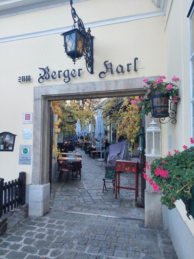 Pension Welserhof Wilfersdorf  Dış mekan fotoğraf