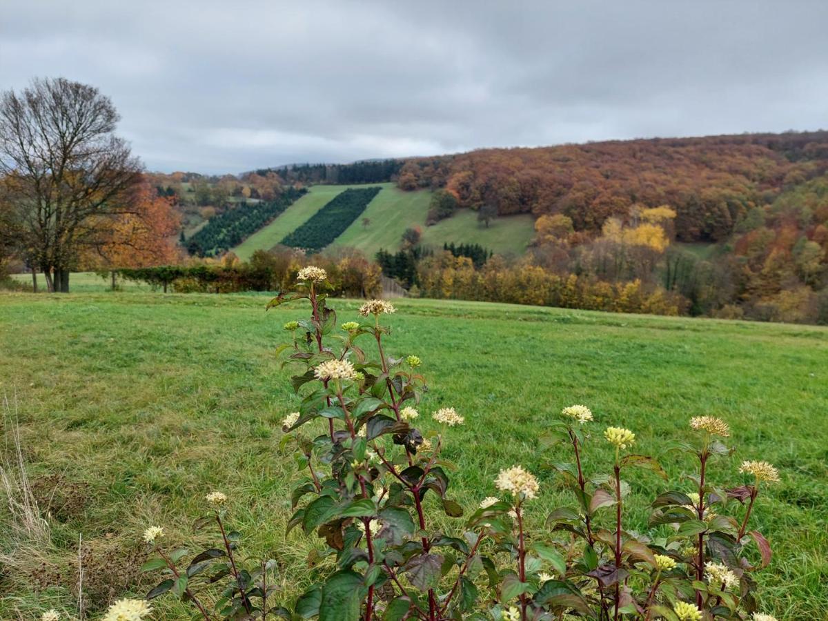Pension Welserhof Wilfersdorf  Dış mekan fotoğraf